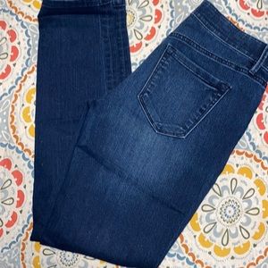 Loft size 27 Curvy Skinny Straight Legged